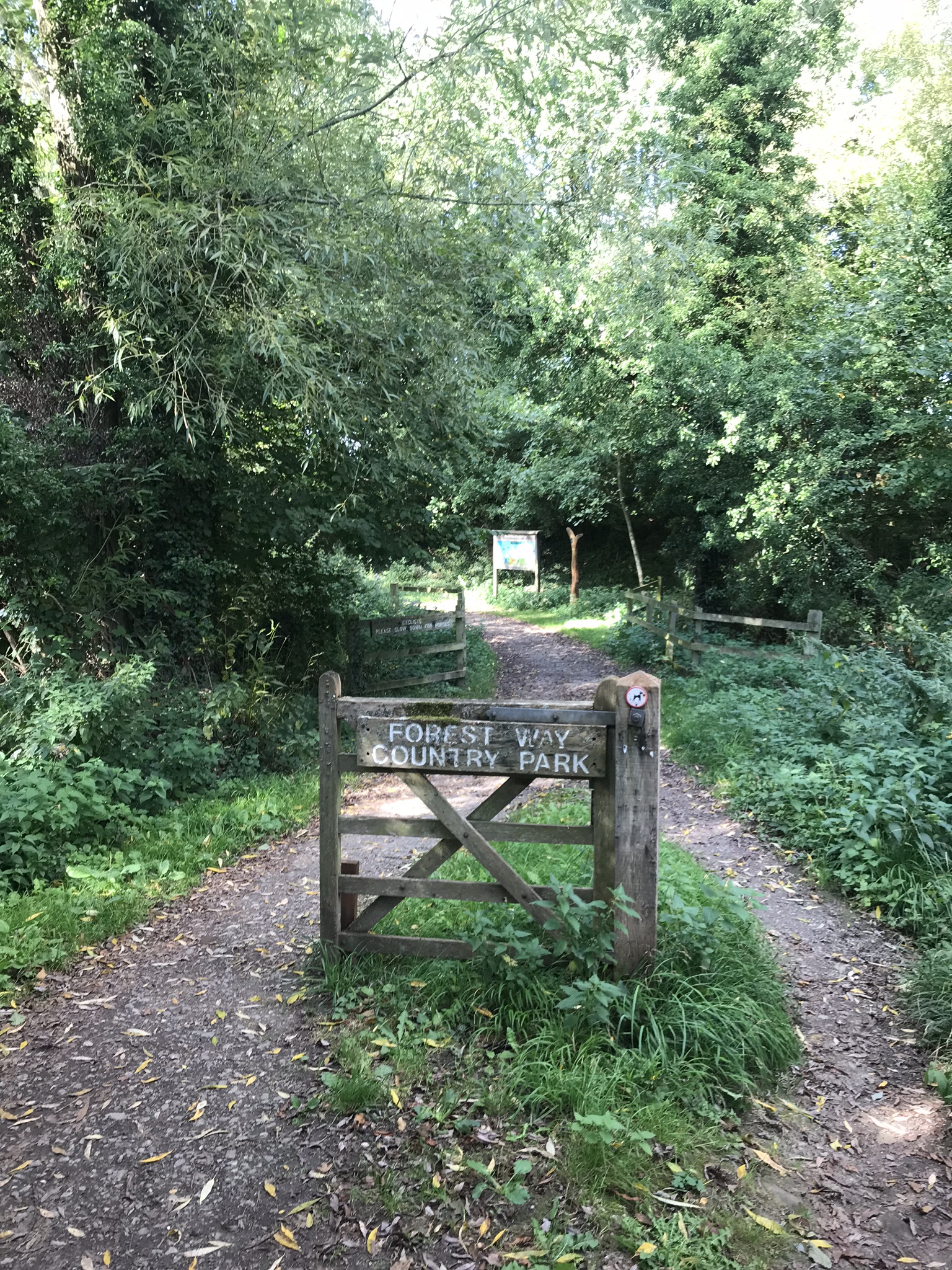 Image of Forest Way