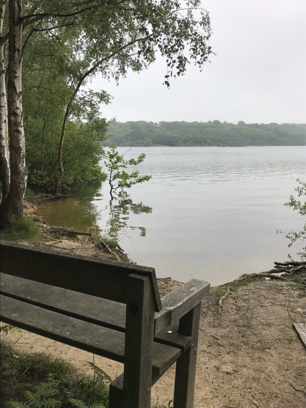 Countrybike bike hire near Bewl Water and Scotney Castle