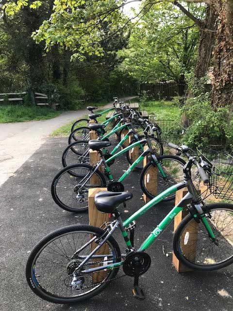 Image of bikes in situ